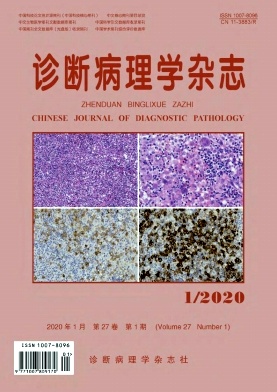 诊断病理学杂志
