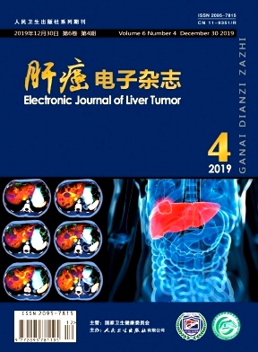 肝癌电子杂志