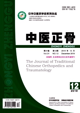 中医正骨杂志