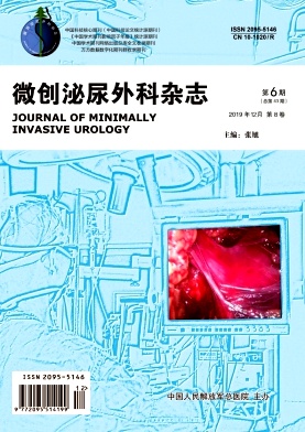微创泌尿外科杂志