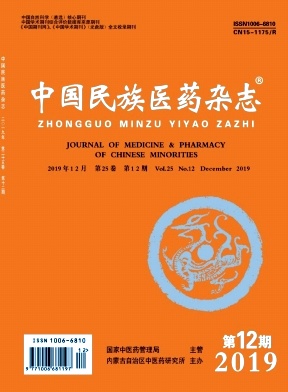 中国民族医药杂志