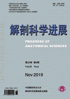 解剖科学进展杂志