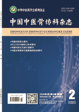 中国中医骨伤科杂志