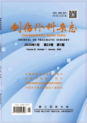 创伤外科杂志