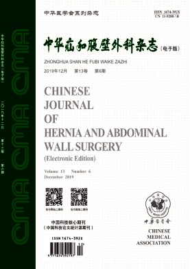 中华疝和腹壁外科（电子版）杂志