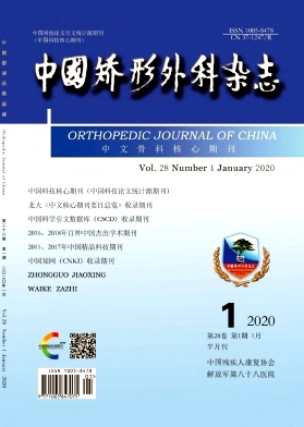 中国矫形外科杂志