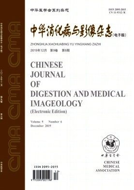 中华消化病与影像杂志