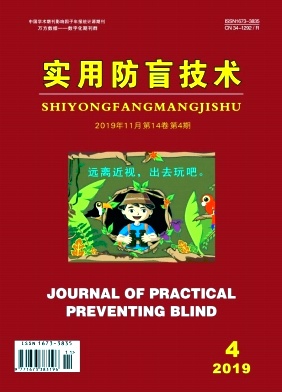 实用防盲技术杂志