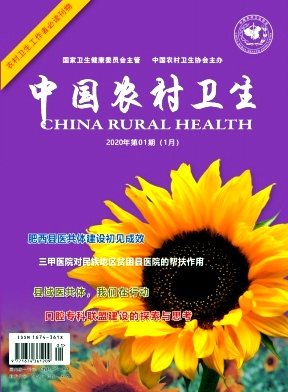 中国农村卫生杂志