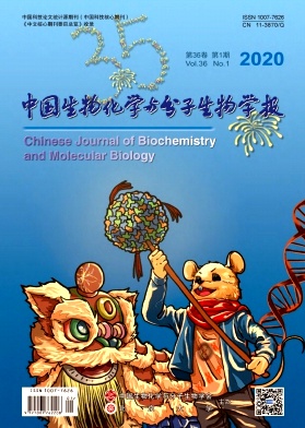 中国生物化学与分子生物学报杂志